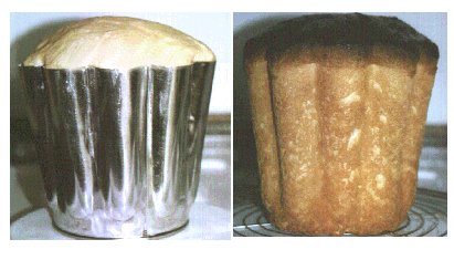 brioche2.jpg